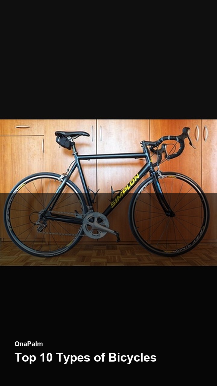 Top 10 Types of Bicycles — 2:3