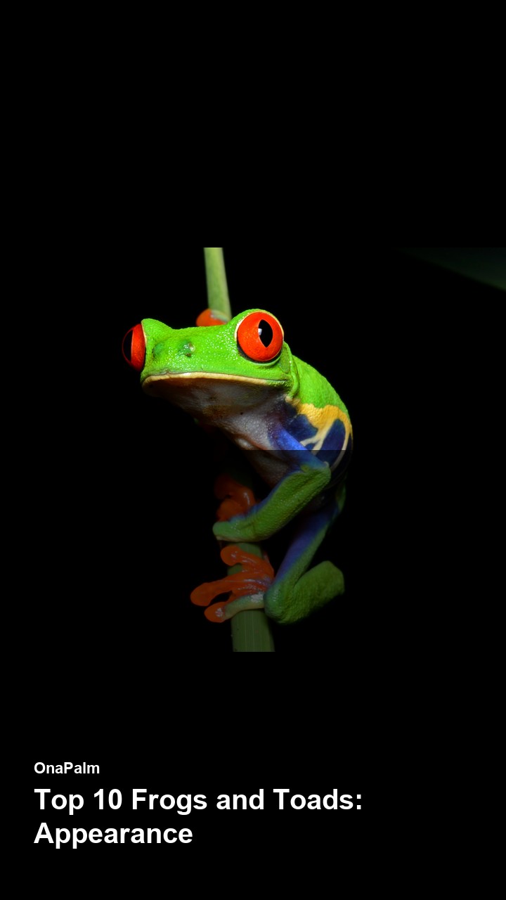 Top 10 Frogs and Toads: Appearance — 2:3