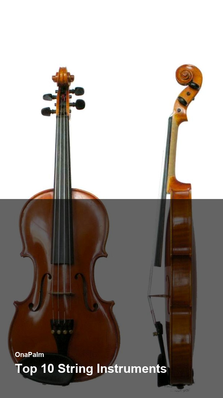 Top 10 String Instruments