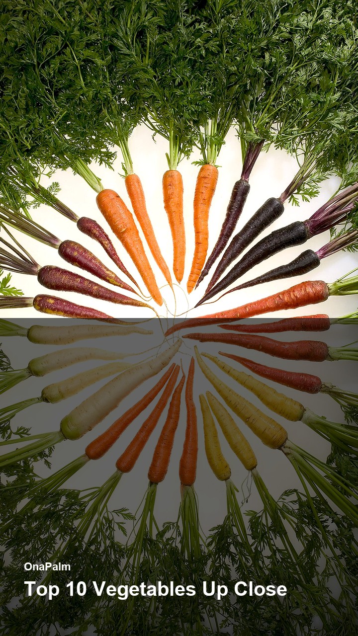 Top 10 Vegetables Up Close — 2:3