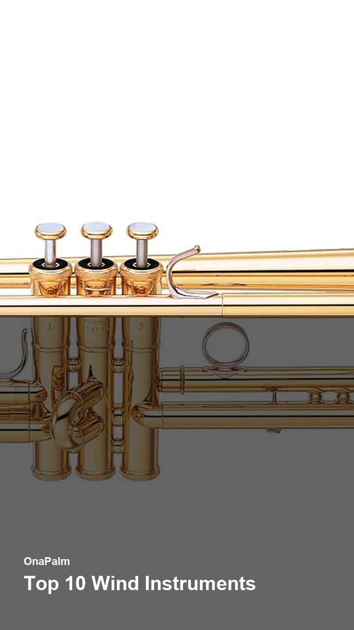 Top 10 Wind Instruments