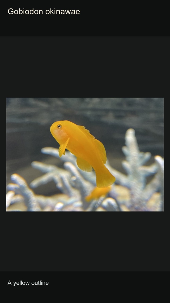 10 Gobies: Patterns and Profiles — 2:3