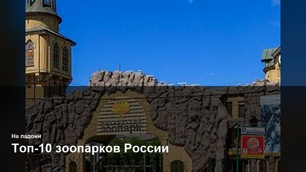 Топ-10 зоопарков России