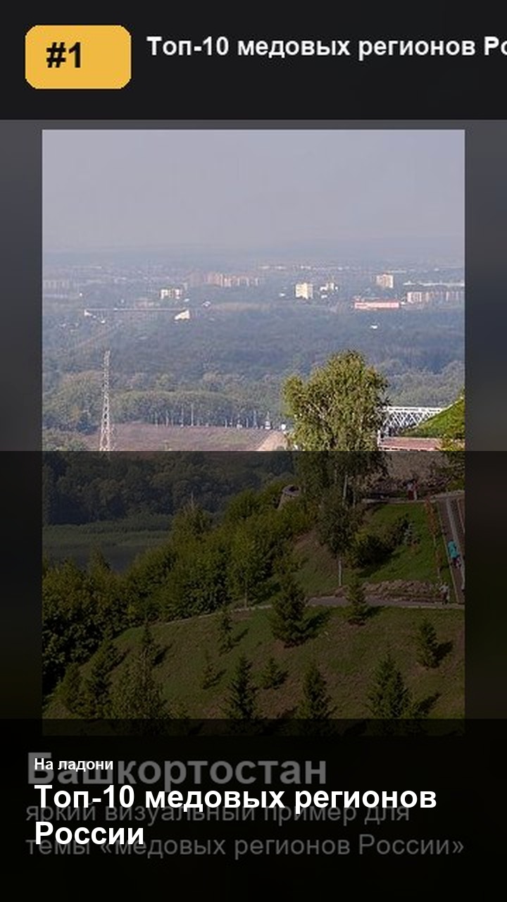 Топ-10 медовых регионов России