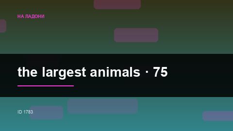 the largest animals
