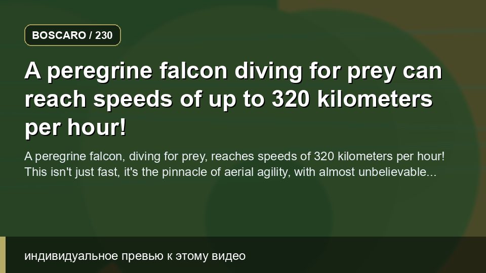 A peregrine falcon diving for prey can reach speeds of up to 320 kilometers per hour!
