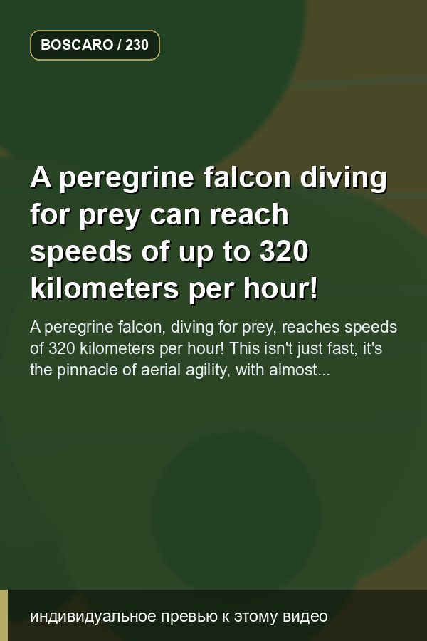 A peregrine falcon diving for prey can reach speeds of up to 320 kilometers per hour!