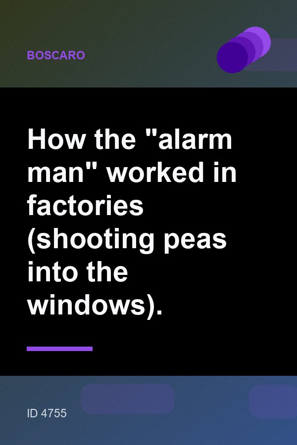 How the "alarm man" worked in factories (shooting peas into the windows).